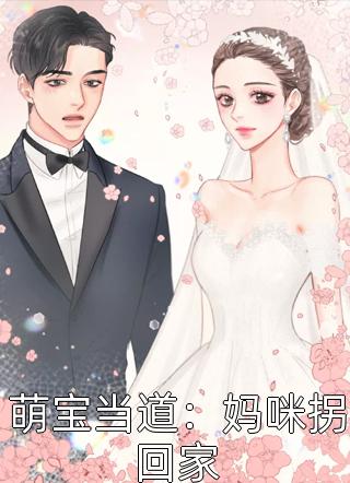 萌宝当道：妈咪拐回家