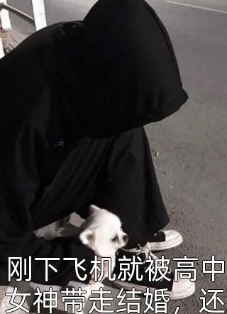 刚下飞机就被高中女神带走结婚，还要给他生个孩子