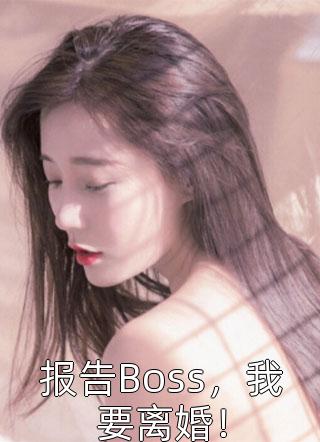 报告Boss，我要离婚！