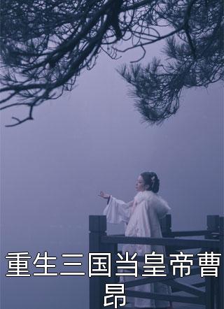 重生三国当皇帝曹昂