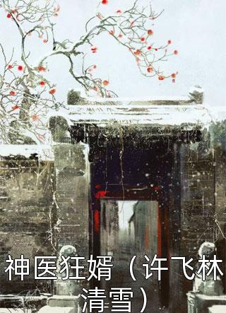 神医狂婿（许飞林清雪）