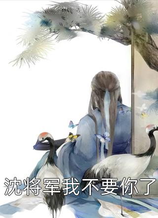 沈将军我不要你了