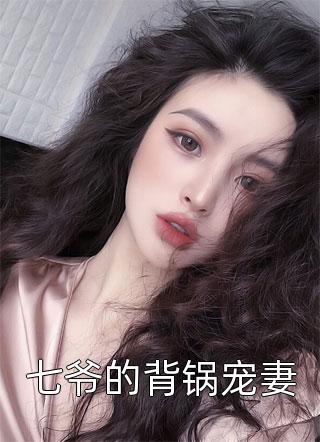 七爷的背锅宠妻