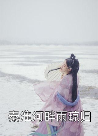 秦淮河畔雨琼归