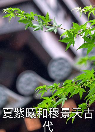 夏紫曦和穆景天古代