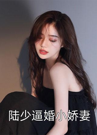 陆少逼婚小娇妻