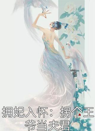 拥妃入怀：拐个王爷当夫君