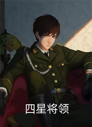 四星将领