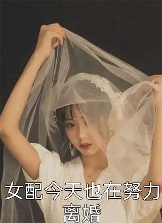 女配今天也在努力离婚