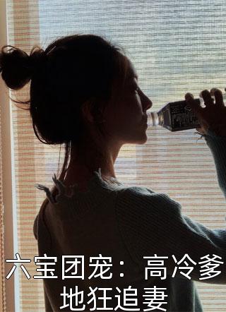 六宝团宠：高冷爹地狂追妻