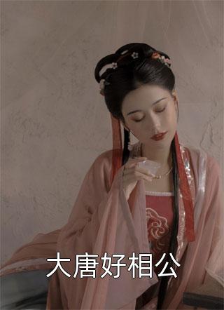 大唐好相公