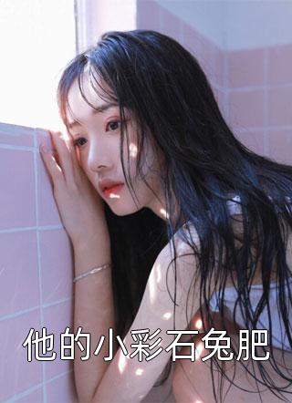 他的小彩石兔肥