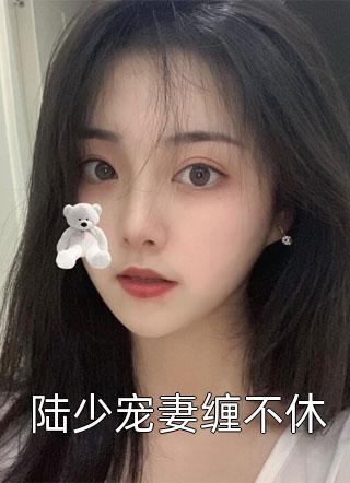 陆少宠妻缠不休