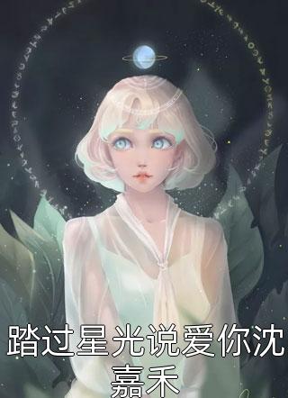 踏过星光说爱你沈嘉禾