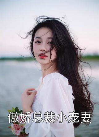 傲娇总裁小宠妻