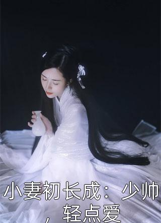 小妻初长成：少帅，轻点爱