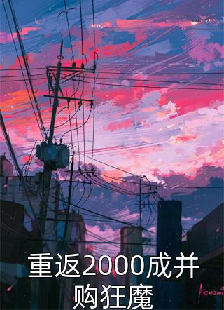 重返2000成并购狂魔