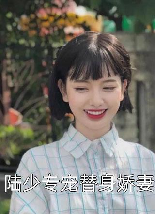 陆少专宠替身娇妻