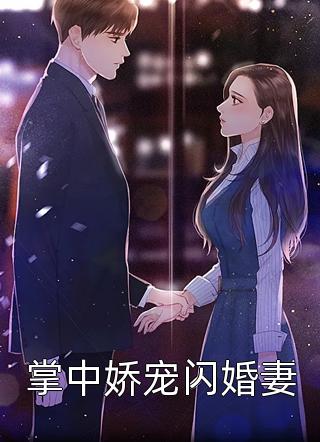 掌中娇宠闪婚妻