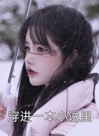 穿进一本小说里