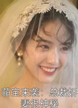 萌宝来袭：总裁娇妻很神秘