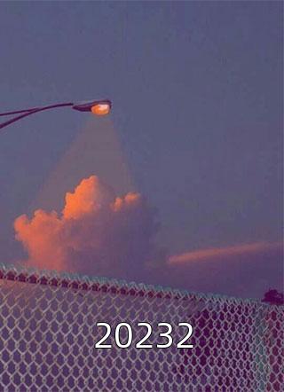 20232