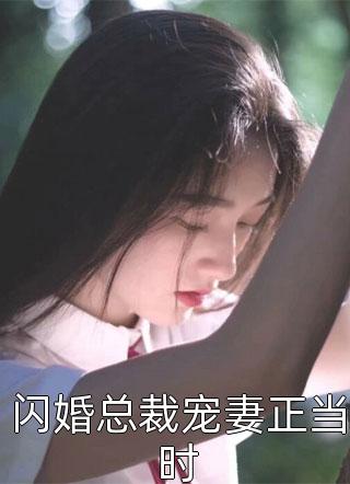 闪婚总裁宠妻正当时