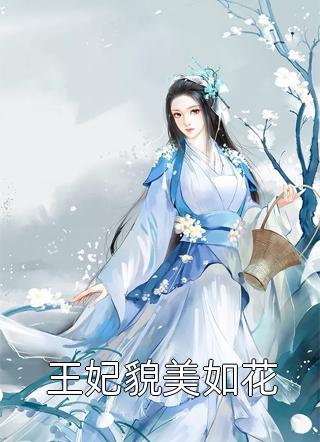 王妃貌美如花