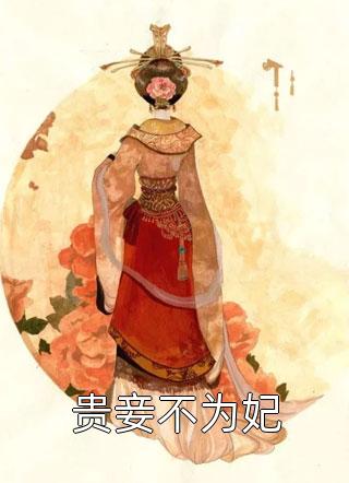 贵妾不为妃