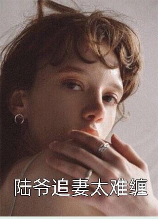 陆爷追妻太难缠