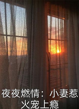 夜夜燃情：小妻惹火宠上瘾