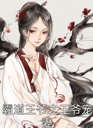 霸道王爷之王爷宠妻