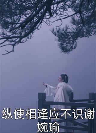 纵使相逢应不识谢婉瑜