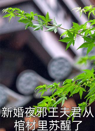 新婚夜邪王夫君从棺材里苏醒了