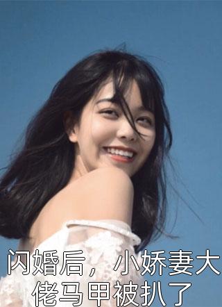 闪婚后，小娇妻大佬马甲被扒了