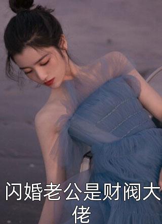 闪婚老公是财阀大佬