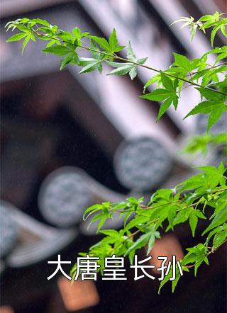 大唐皇长孙