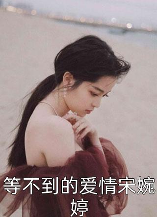 等不到的爱情宋婉婷