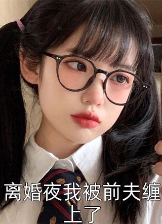 离婚夜我被前夫缠上了