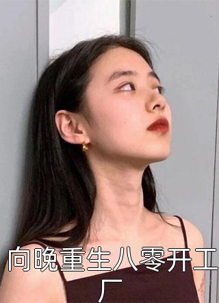 向晚重生八零开工厂