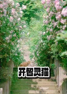淼淼宁宁是三花猫的小说叫什么名字