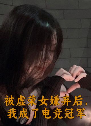 林志豪柳如烟的小说叫什么名字