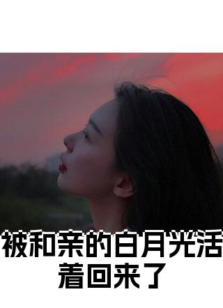 陆依依裴安苏莲是哪本小说的主人公