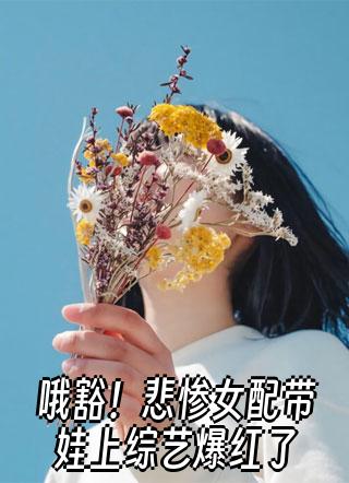 陆青黎陆辞小说结局完整版哪里有